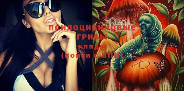 стаф Карпинск